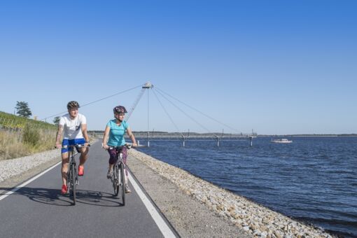 Tourismusverband Lausitzer Seenland